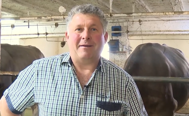 Skurriler Protest: Bauer schüttet vor laufender Kamera Milch ins offene Feld