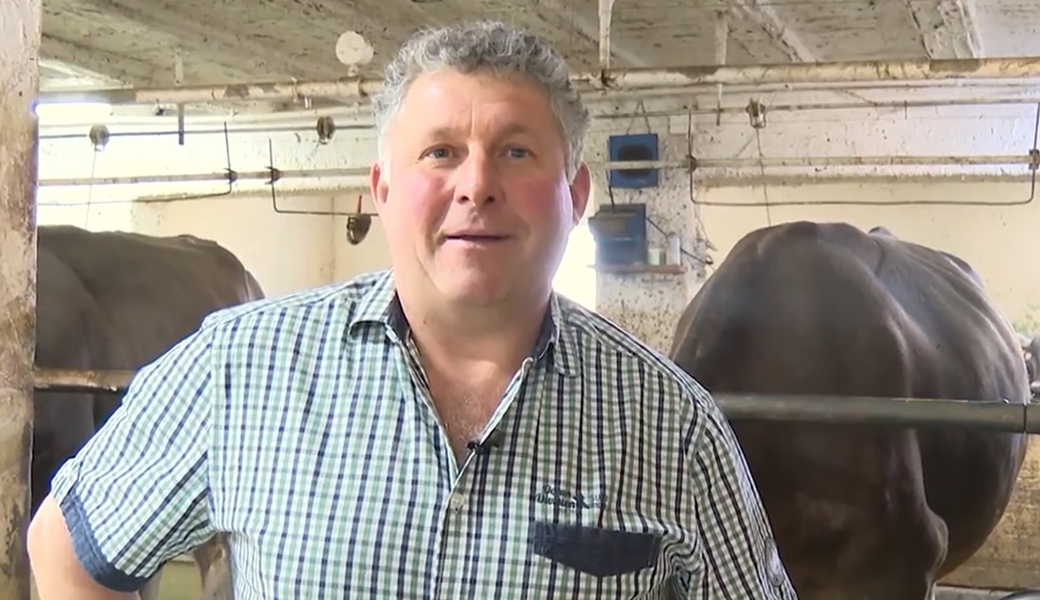 Skurriler Protest: Bauer schüttet vor laufender Kamera Milch ins offene Feld