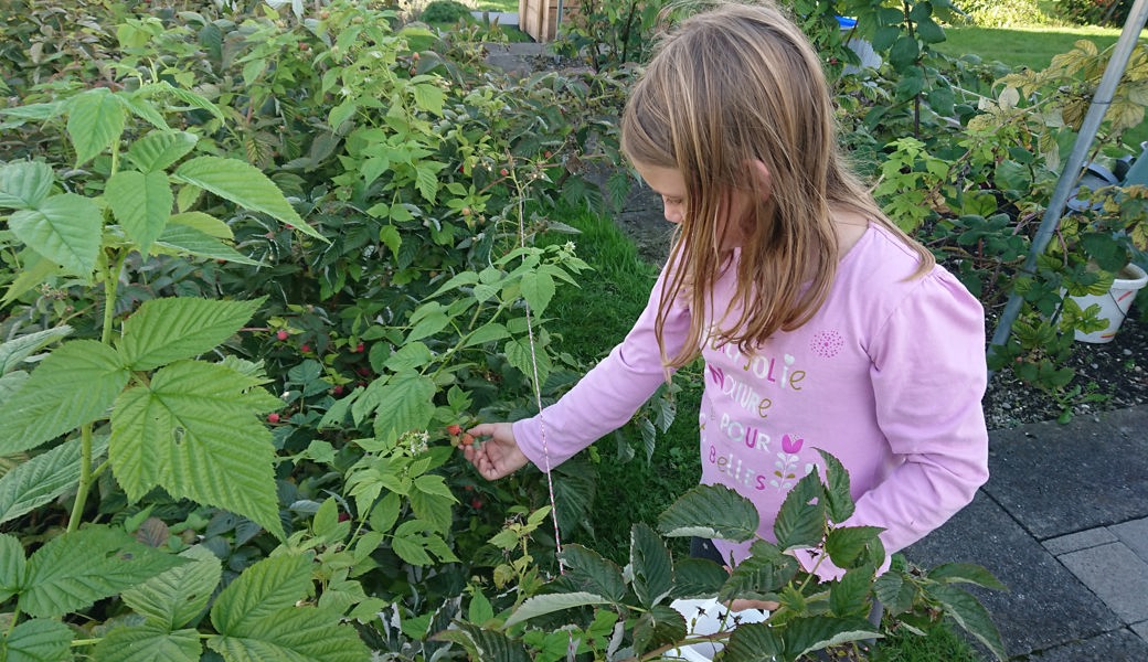 Gross und Klein hegen den Garten gemeinsam. 