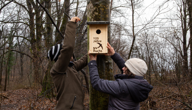 Nester bestimmt und Nistkästen ersetzt