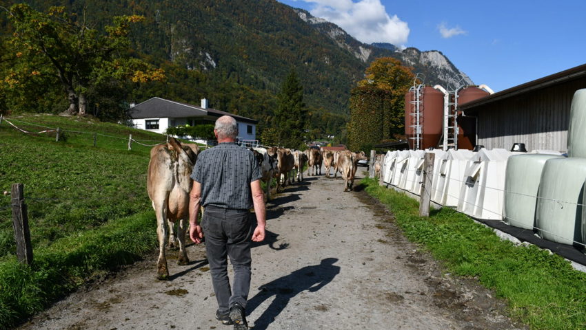  Nach dem Tag auf der Weide geht es heimwärts.
