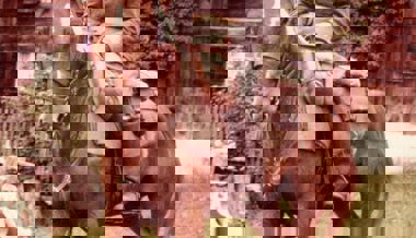 «Das waren jeweils meine Ferien» – ein ehemaliger Dragoner erinnert sich