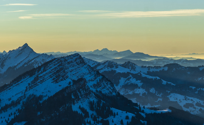Künstliche Intelligenz: Klimaretter oder Klimakiller?