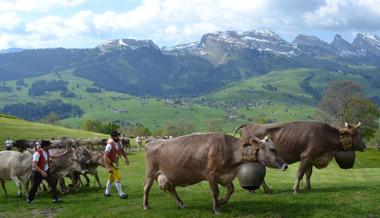 Die Tradition des «Überefahre» wird hochgehalten