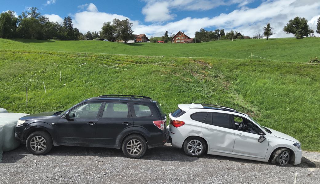 Fahrunfähiger Lenker kam von Strasse ab