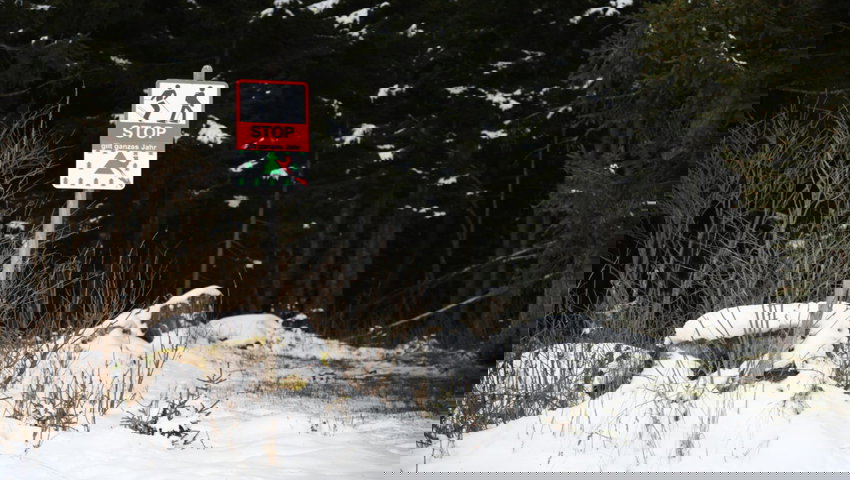  An einladenden Stellen sind auffällige Schilder platziert, die auf die Wildruhezone hinweisen. Trotzdem kommt es regelmässig zu Übertretungen. 