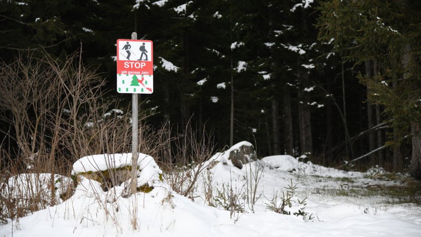  An einladenden Stellen sind auffällige Schilder platziert, die auf die Wildruhezone hinweisen. Trotzdem kommt es regelmässig zu Übertretungen. 