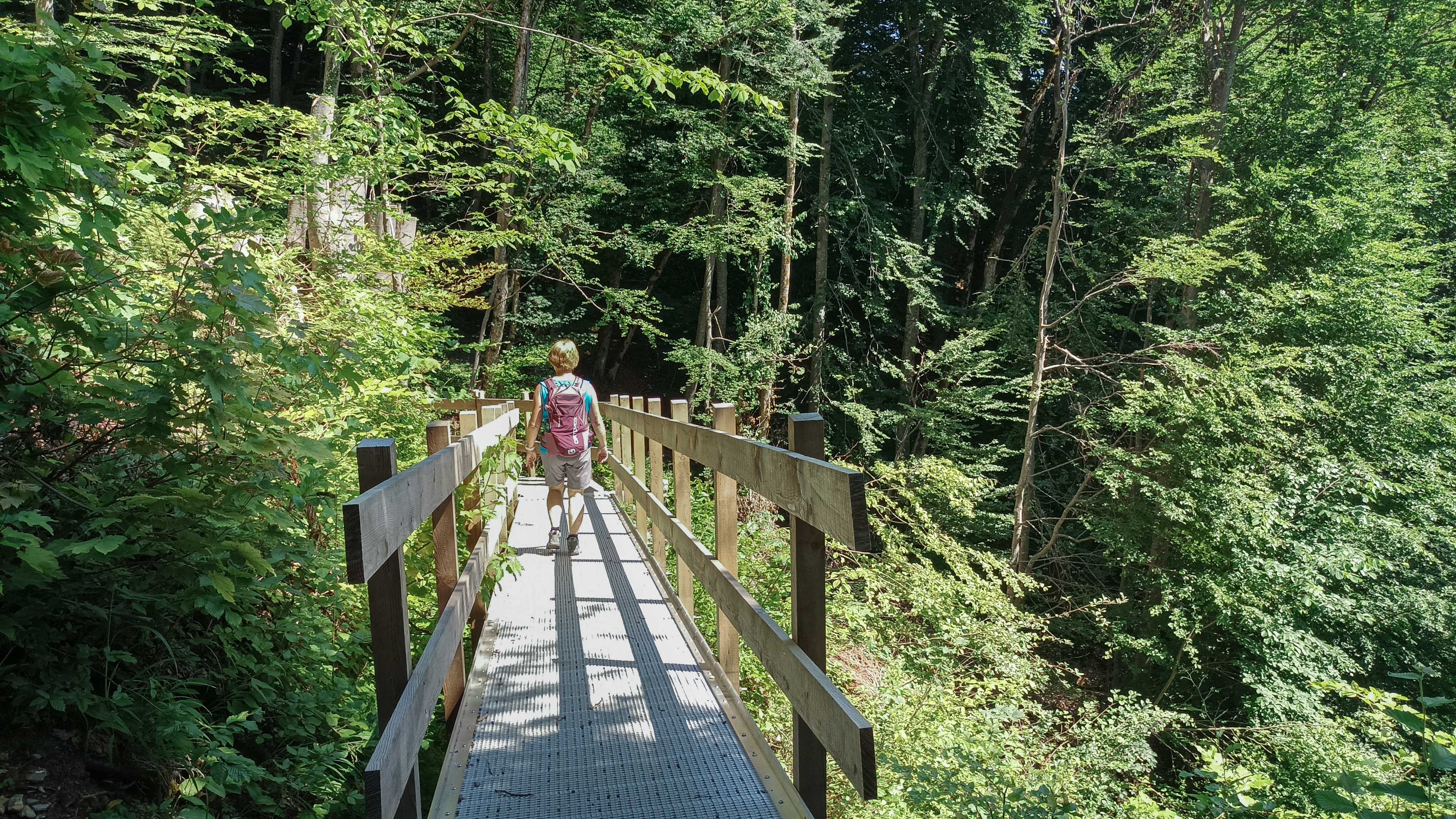 Ausflugstipp: Ein tolles Teilstück des Höhenwegs