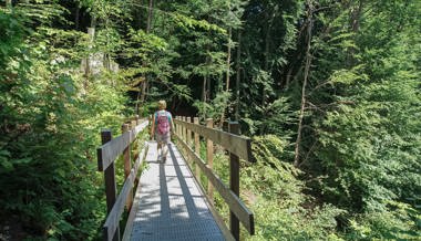 Ausflugstipp: Ein tolles Teilstück des Höhenwegs