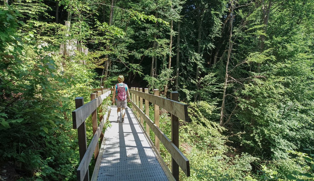 Ausflugstipp: Ein tolles Teilstück des Höhenwegs