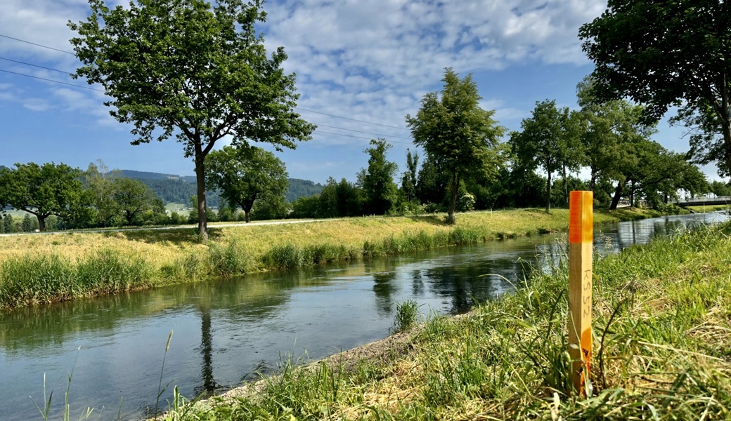 Die 800 Holzpfähle im Gelände wurden wieder entfernt. 