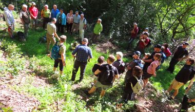 Wissenswertes über die Natur am Buchserberg: Einblicke ins Waidwerk