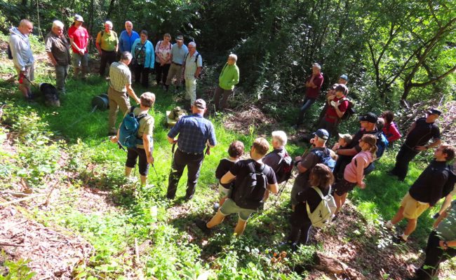 Wissenswertes über die Natur am Buchserberg: Einblicke ins Waidwerk