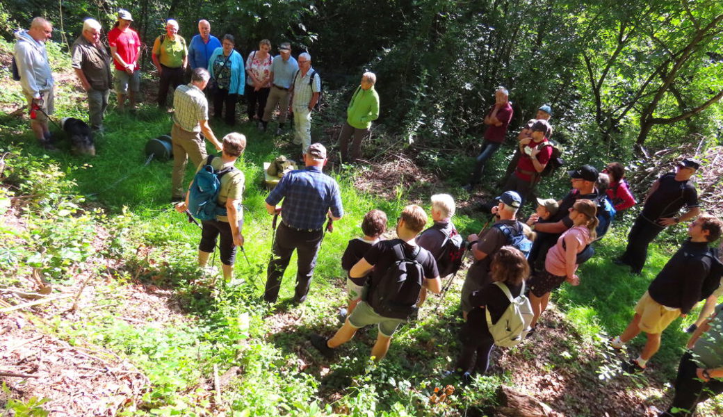  Auch wenn der Schwarzkittel mittels Kirrung angelockt wird, sitzt der Jäger durchschnittlich 80 Stunden pro Tier an. 