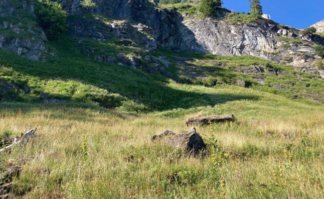 31-jähriger Basejumper am Walenstadtberg tödlich verunglückt
