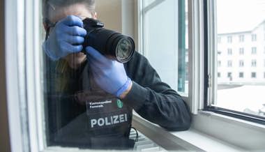 Einbrüche in mehrere Fabriken und Bürogebäude