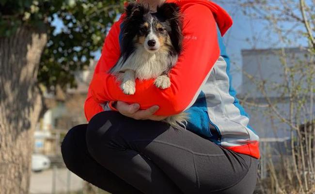 Zwei Agility-Sportlerinnen vertreten die Schweiz an der Europameisterschaft