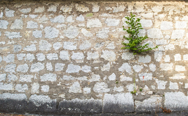 Streit um eine Stützmauer: Das Wasser fliesst halt nun mal den Berg hinab