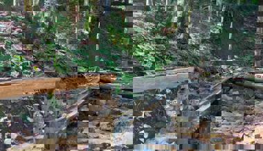 Von Wolzenalp zum Ijentalersee: Ein neuer Erlebnisweg wird eröffnet