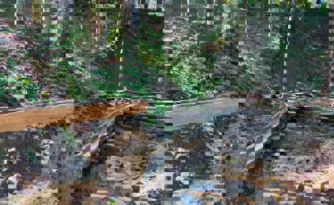 Von Wolzenalp zum Ijentalersee: Ein neuer Erlebnisweg wird eröffnet