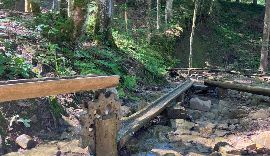 Von Wolzenalp zum Ijentalersee: Ein neuer Erlebnisweg wird eröffnet