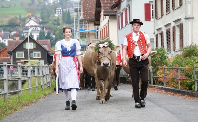 Miss-Wahlen an Viehschau: Titel erfolgreich verteidigt