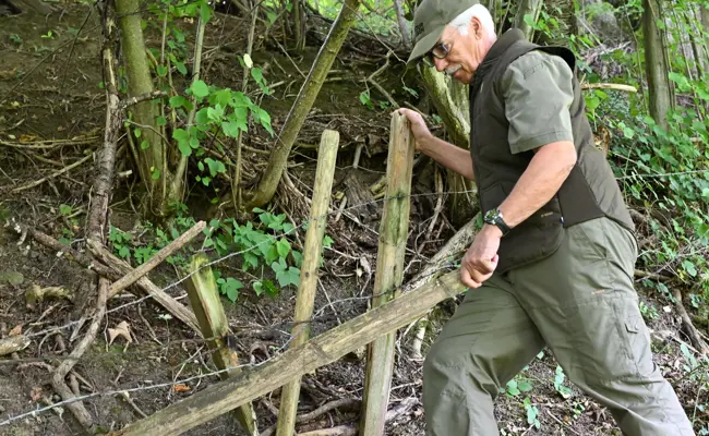 Die Gnadenfrist fürs Stacheldraht-Verbot läuft ab: Ab Oktober drohen Anzeigen und saftige Bussen