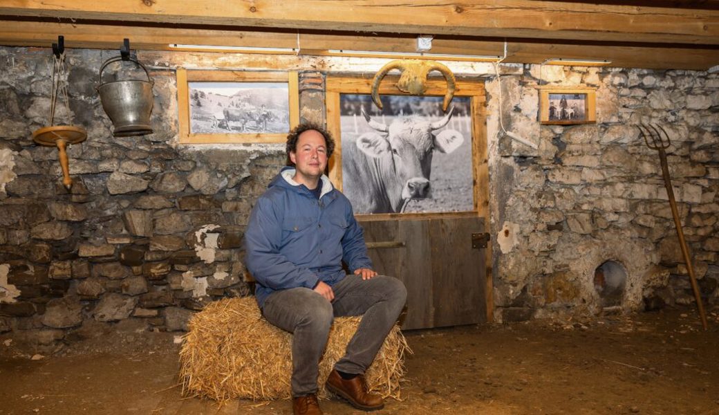  Toni Büchel im Teil des Specki-Stalls, das dem Thema Viehzucht gewidmet ist. Bilder: Daniel Schwendener