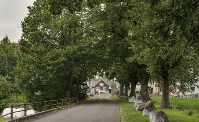 Ergebnisse der Online-Umfrage ausgewertet: Zentrum soll attraktiver werden