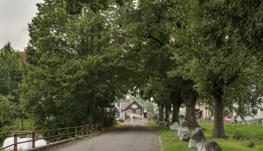  Bei der Frage «Welche Orte empfinden Sie als schön» wurde der begrünte Grabserbach genannt. 