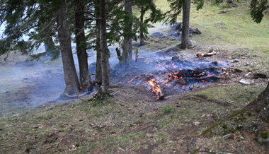 Brand bei Aussichtsturm Gaflei