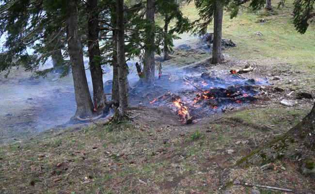 Brand bei Aussichtsturm Gaflei