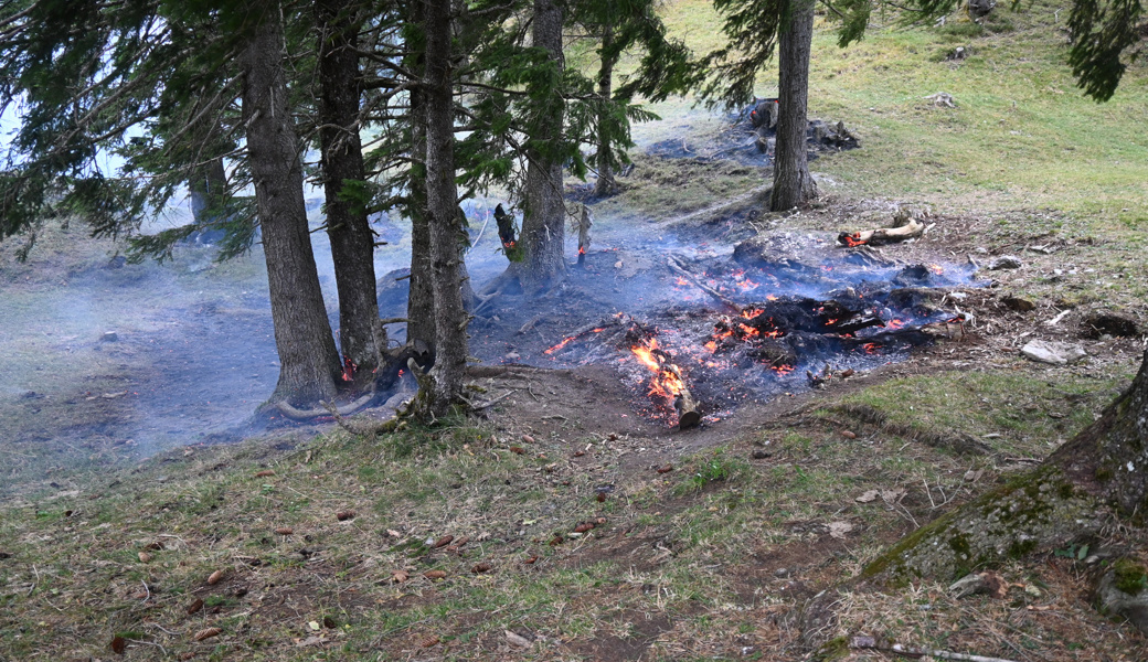 Brand bei Aussichtsturm Gaflei