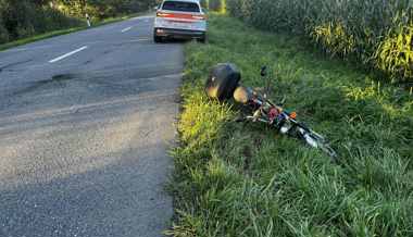 Fahrunfähiger Mopedlenker landet im Wiesland