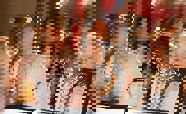 Eine Grossanlass: Drei Werdenberger Vereine nehmen am Kreismusiktag Mels teil