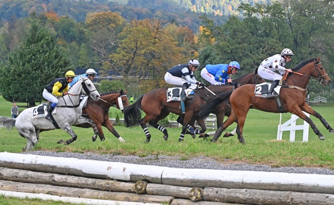 Triumph für Les Feuxgrets – ehemaliger Sieger verunglückt