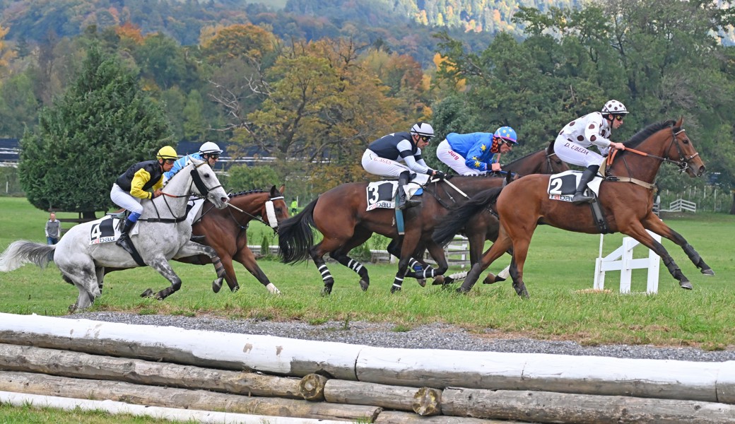 An der Spitze: Les Feuxgrets mit Dylan Ubeda im Sattel setzte sich im Maienfelder Hauptrennen durch.