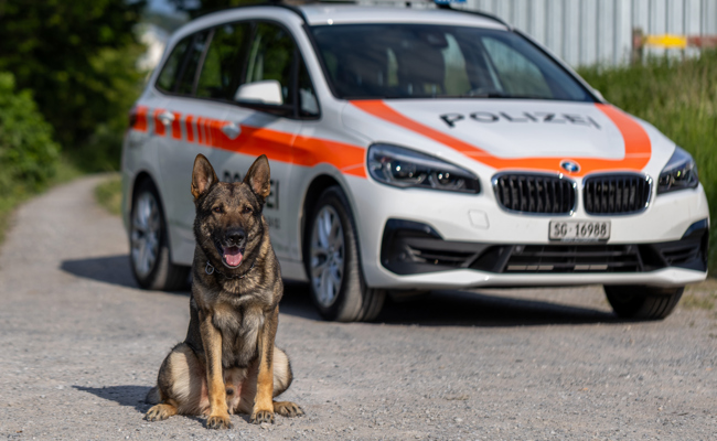Erol hatte die richtige Fährte: Dieser Polizeihund jagt seit Jahren erfolgreich Verbrecher