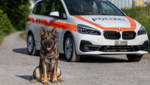 Erol hatte die richtige Fährte: Dieser Polizeihund jagt seit Jahren erfolgreich Verbrecher