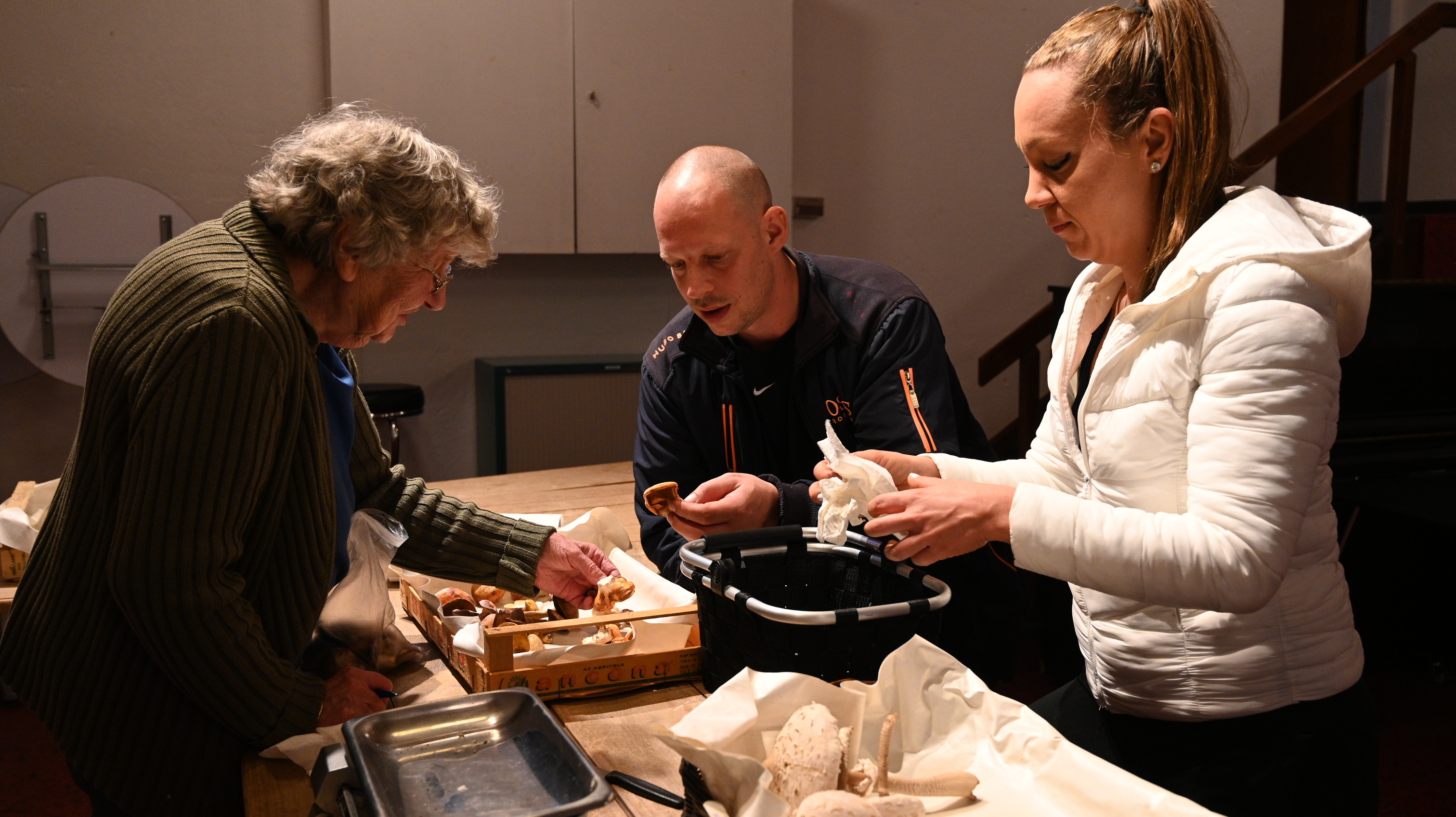 Lange Zeit zu trocken: 2023 ist kein besonders ergiebiges Pilzjahr