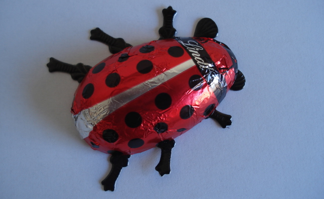 Die Procap-Schoggikäfer sind im Anflug