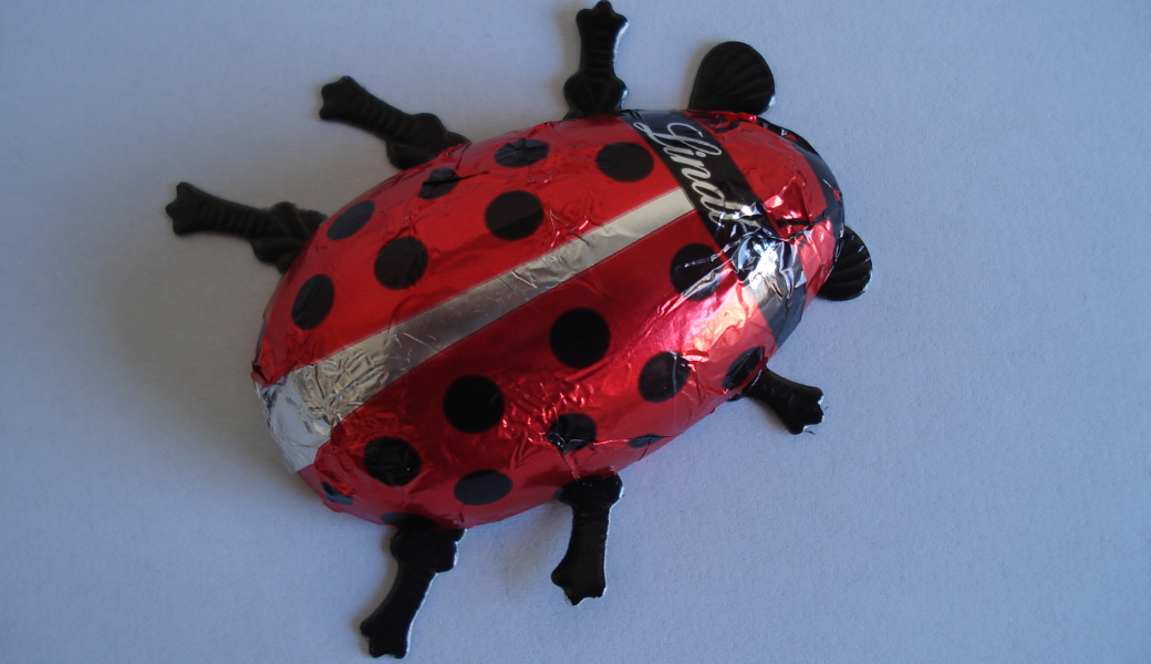 Der Erlös des Glückskäfer-Verkaufs kommt Procap Sarganserland-Werdenberg zugute.