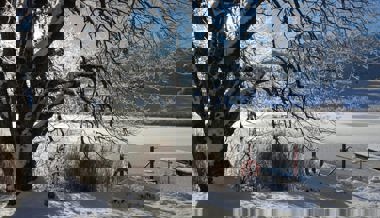 Frostiger, wunderbarer Winterzauber: Schnee und Eis verwandeln die Landschaft