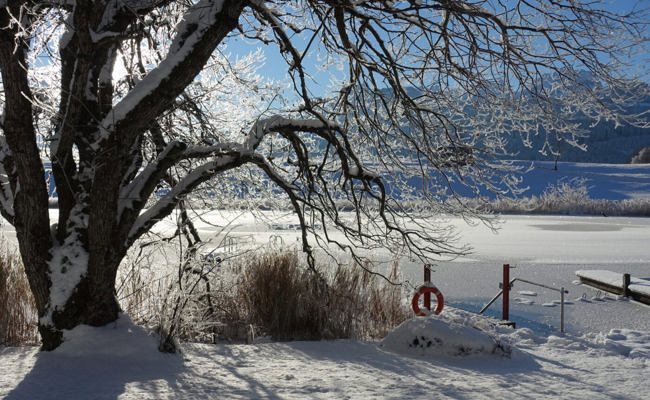 Frostiger, wunderbarer Winterzauber: Schnee und Eis verwandeln die Landschaft