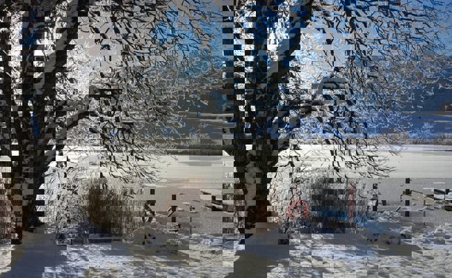 Frostiger, wunderbarer Winterzauber: Schnee und Eis verwandeln die Landschaft