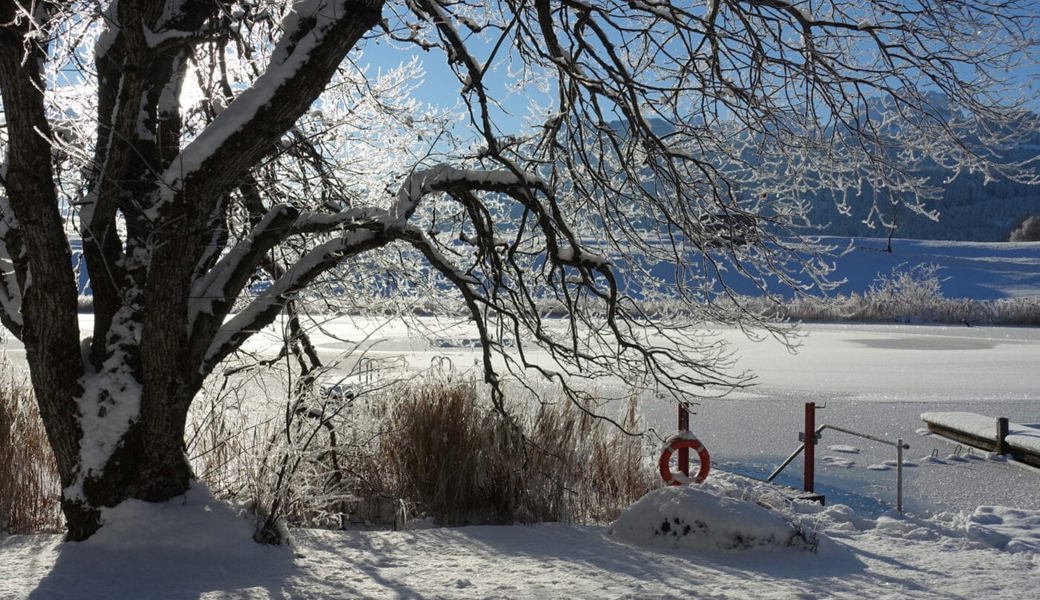  Idyllische Winterstimmung am Schönenbodensee.