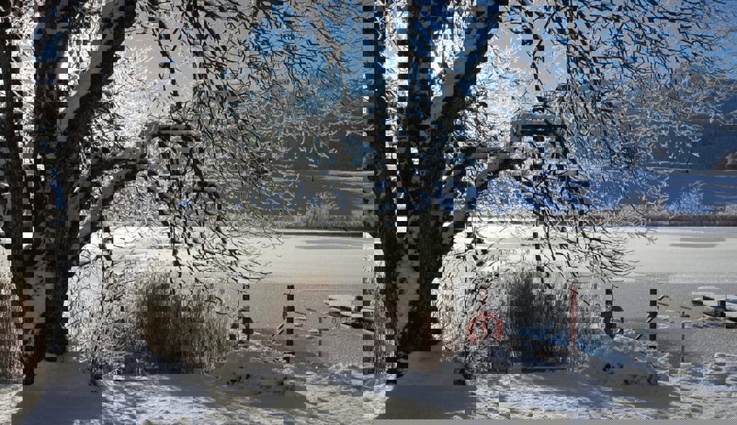  Idyllische Winterstimmung am Schönenbodensee.