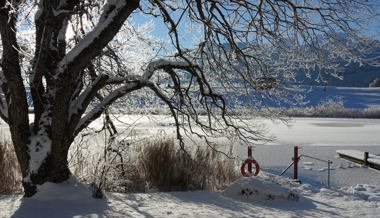 Frostiger, wunderbarer Winterzauber: Schnee und Eis verwandeln die Landschaft