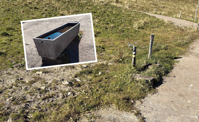 Unbekannte stehlen Brunnen von Alp – Polizei sucht Zeugen