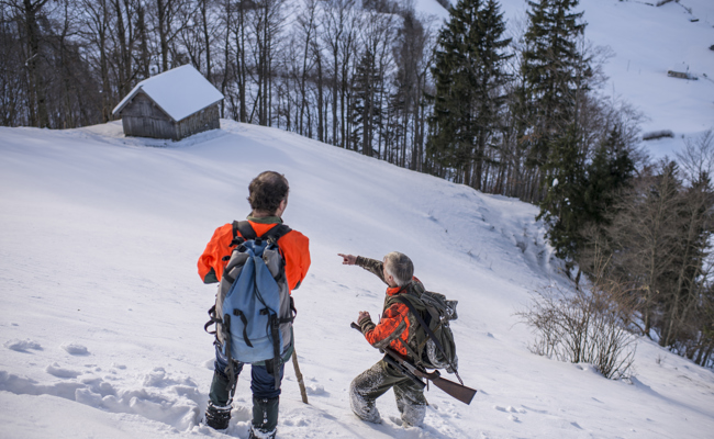Hirsche im Visier – Jäger unter Druck